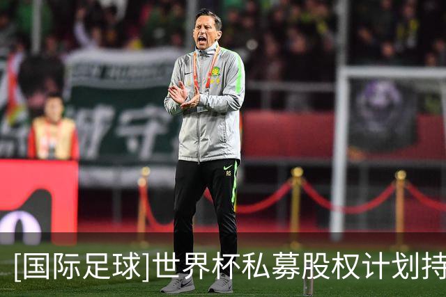 [国际足球]世界杯私募股权计划持续遭受抵制